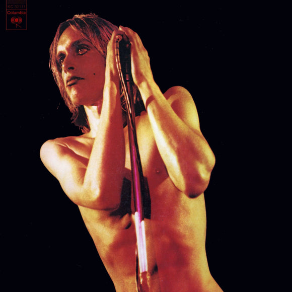 Iggy And The Stooges - Raw Power (National Album Day) LP