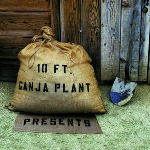 10 Ft. Ganja Plant : Presents (CD, Album)