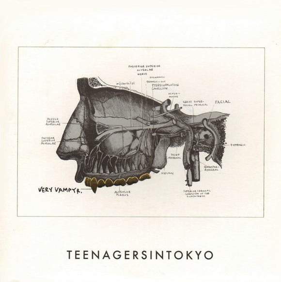 Teenagersintokyo : Very Vampyr (7