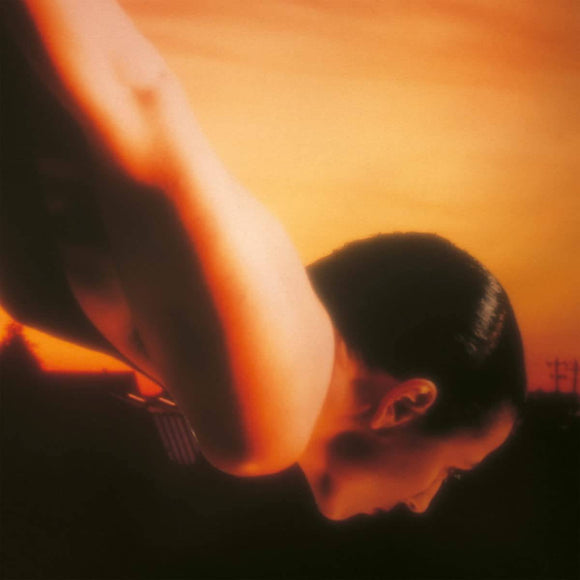 Porcupine Tree - On The Sunday Of Life CD/2LP