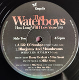 The Waterboys : How Long Will I Love You 2021 (12", Ltd)
