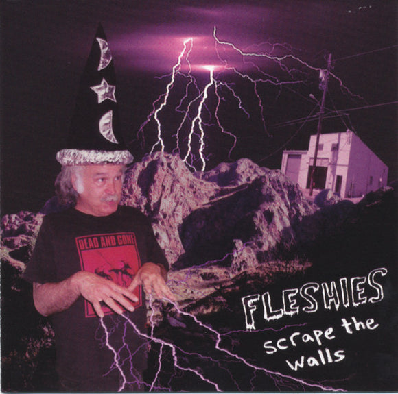 Fleshies : Scrape The Walls (CD, Album)