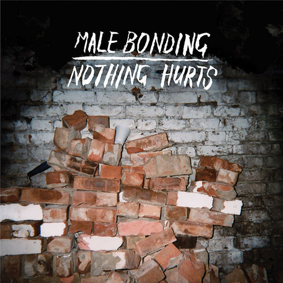 Male Bonding : Nothing Hurts (CD, Album)