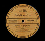 Badly Drawn Boy : Pissin In The Wind (10", Single)