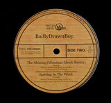 Badly Drawn Boy : Pissin In The Wind (10", Single)