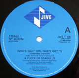 A Flock Of Seagulls : Who's That Girl (She's Got It) (12", Single, Blu)
