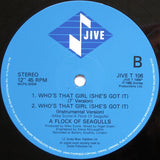 A Flock Of Seagulls : Who's That Girl (She's Got It) (12", Single, Blu)