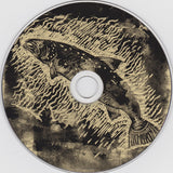 Edwyn Collins : Understated (CD, Album)