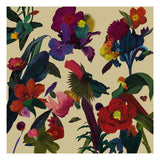 Washed Out : Paracosm (CD, Album)