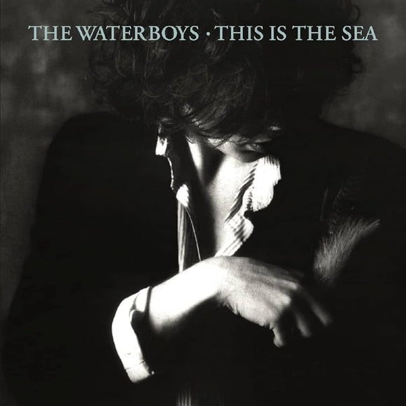 The Waterboys - This Is The Sea LP