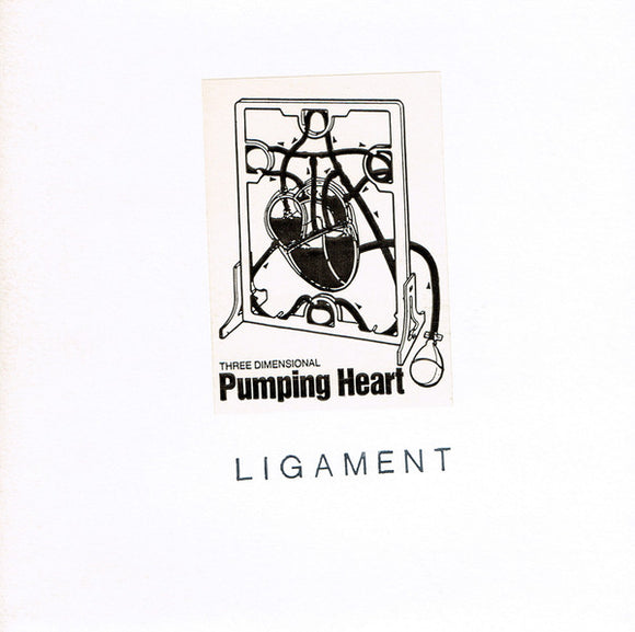 Ligament : Three Dimensional Pumping Heart (7