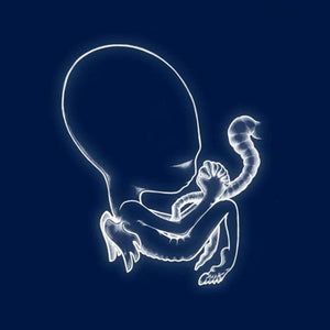 Sigur Rós - Ágætis Byrjun 2LP