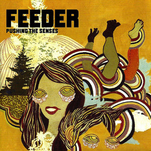 Feeder : Pushing The Senses (CD, Album)