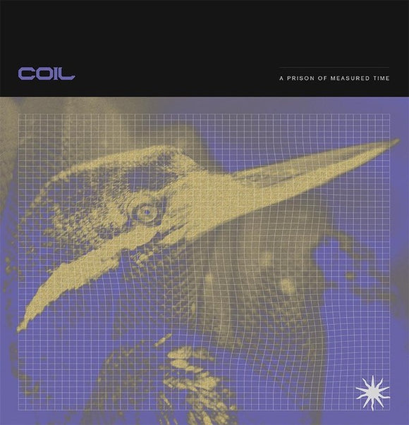 Coil - A Prison Of Measured Time LP