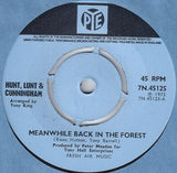 Hunt, Lunt & Cunningham : Meanwhile Back In The Forest (7", Single)