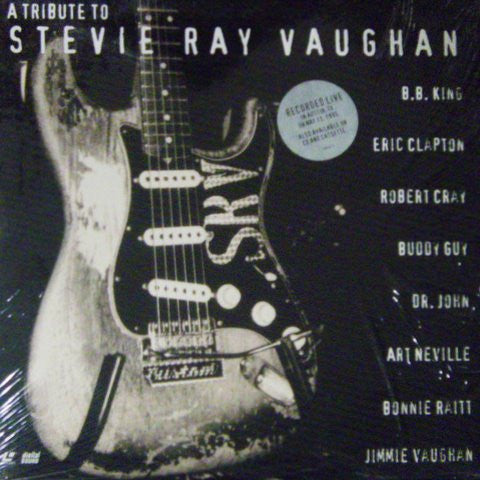 Various : A Tribute To Stevie Ray Vaughan (Laserdisc, 12