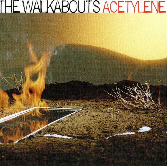 The Walkabouts : Acetylene (CD, Album)