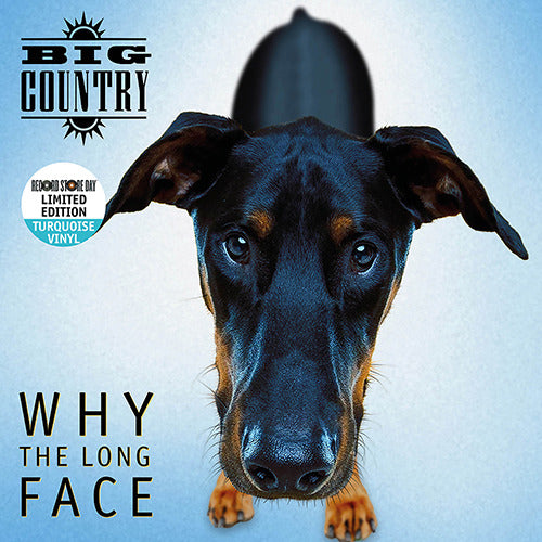 Big Country - Why The Long Face - 1 LP - Tourquoise Vinyl  [RSD 2024]