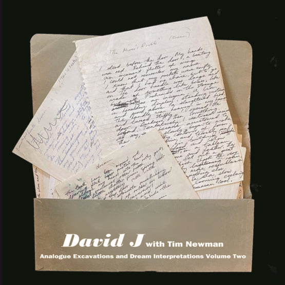David J With Tim Newman - Analogue Excavations & Dream Interpretations Volume 2 LP