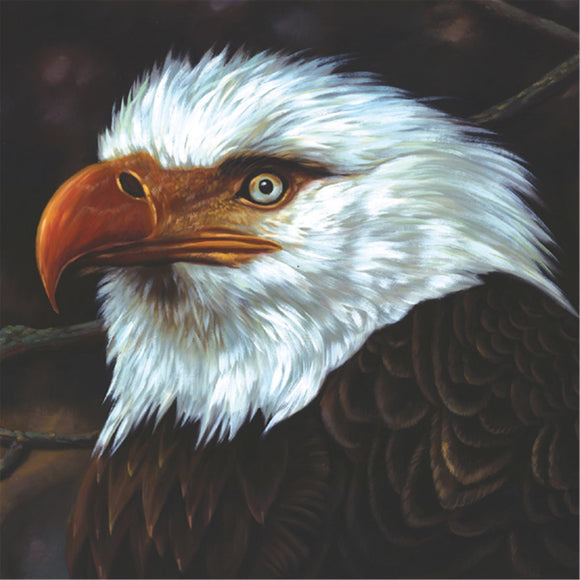 Mogwai - The Hawk Is Howling (15th Anniversary) 2LP