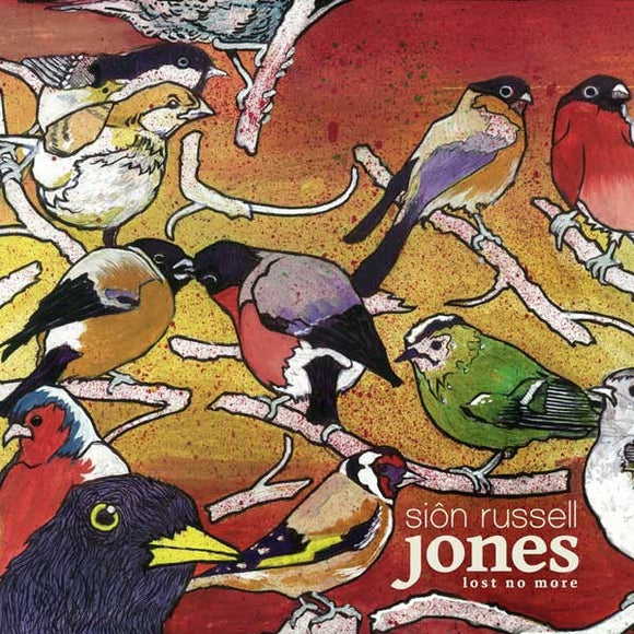 Siôn Russell Jones ‎– Lost No More CD