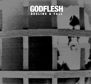Godflesh ‎– Decline & Fall CD