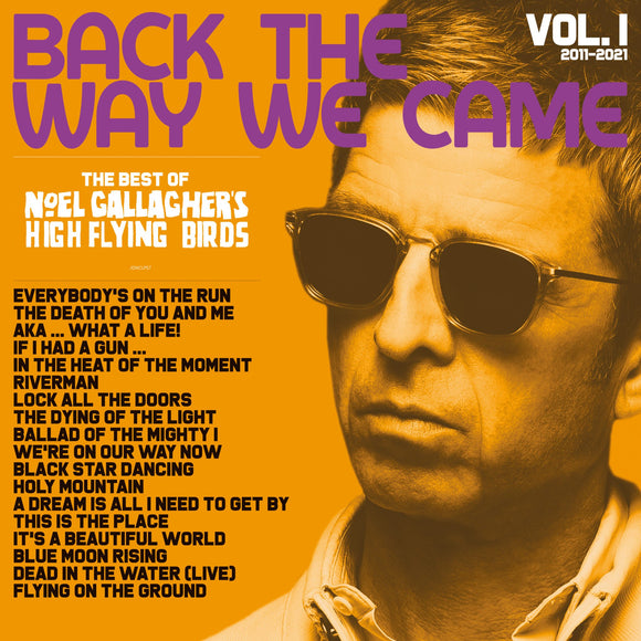 Noel Gallagher's High Flying Birds: Back The Way We Came: Vol 1 LP