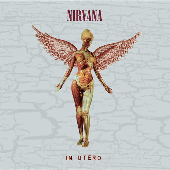 Nirvana - In Utero (30th Anniversary) 2CD/LP+10