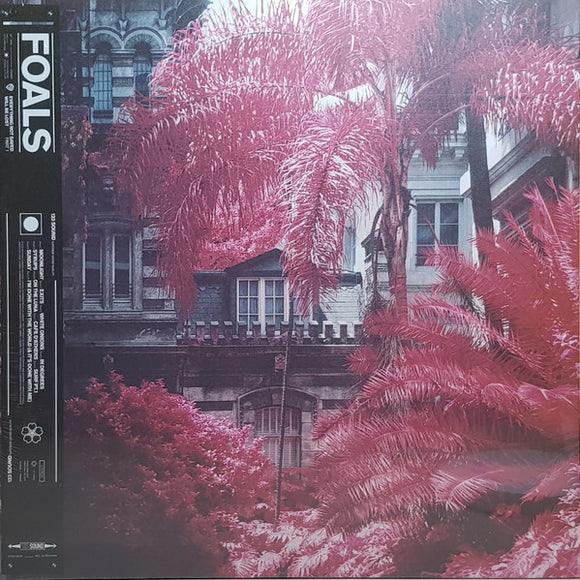Foals ‎– Everything Not Saved Will Be Lost: Part 1 LP