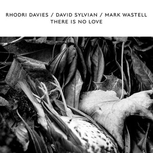 Rhodri Davies / David Sylvian / Mark Wastell ‎- There Is No Love 12"