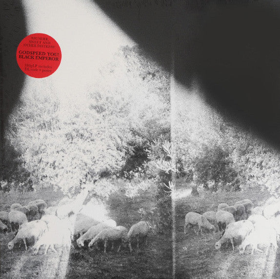 Godspeed You! Black Emperor - Asunder, Sweet and Other Distress LP - Tangled Parrot