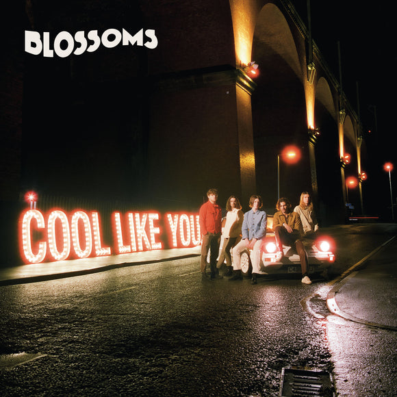 Blossoms ‎- Cool Like You CD