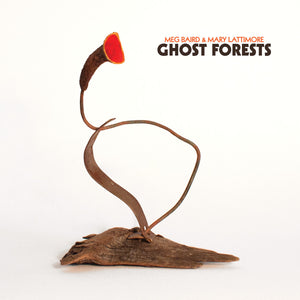Meg Baird And Mary Lattimore - Ghost Forests LP