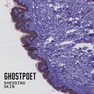 Ghostpoet - Shedding Skin LP