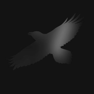 Sigur Ros - Odin's Raven Magic CD/2LP