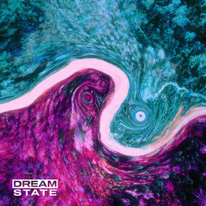 Dream State - Primrose Path LP - Tangled Parrot