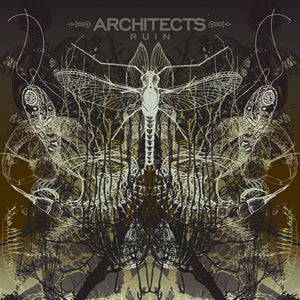 Architects - Ruin LP