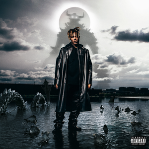 Juice WRLD - Fighting Demons 2LP