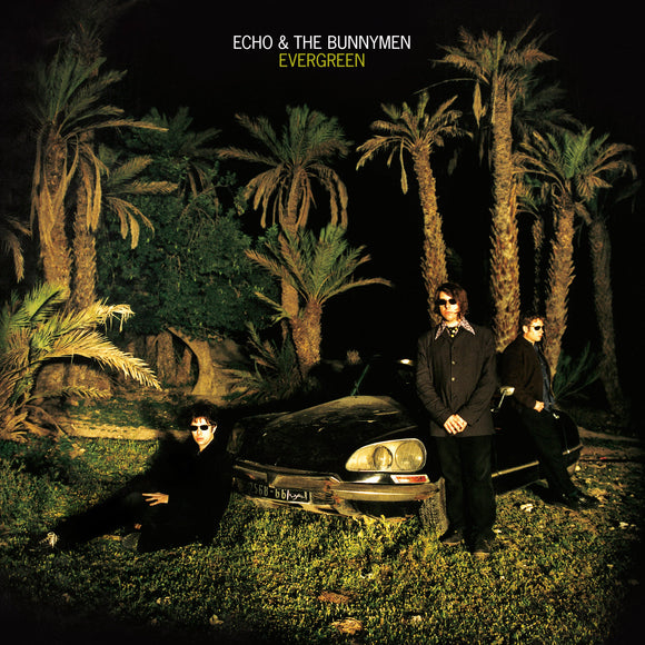Echo & The Bunnymen - Evergreen CD