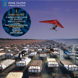 Pink Floyd - A Momentary Lapse Of Reason (2019 Mix) CD/2LP